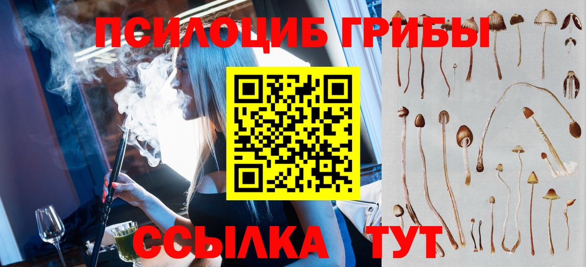 Галлюциногенные грибы прущие грибы  Вход с VPN  Отрадный 