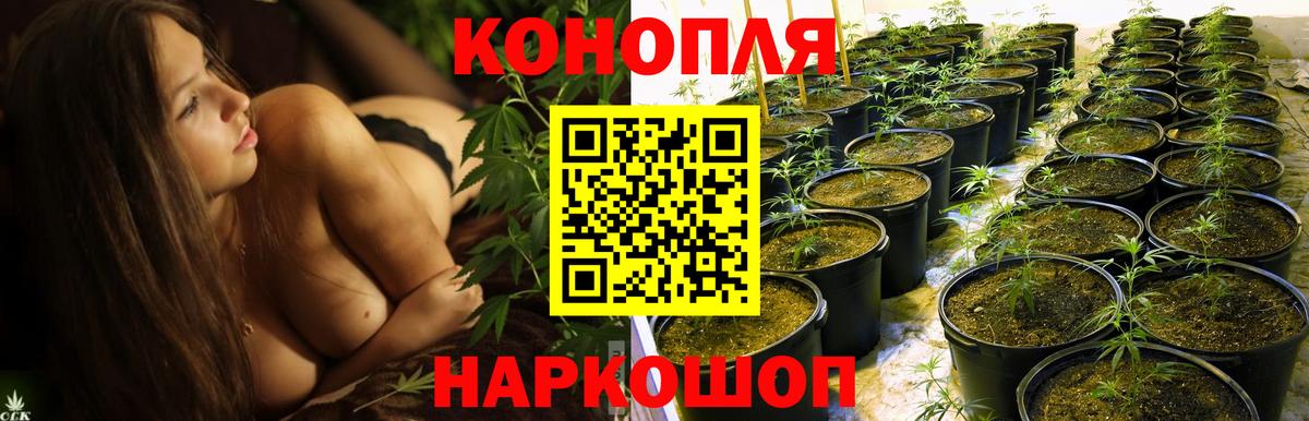 МАРИХУАНА индика Отрадный